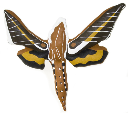Automeris io Moth
