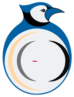 Blue Jay